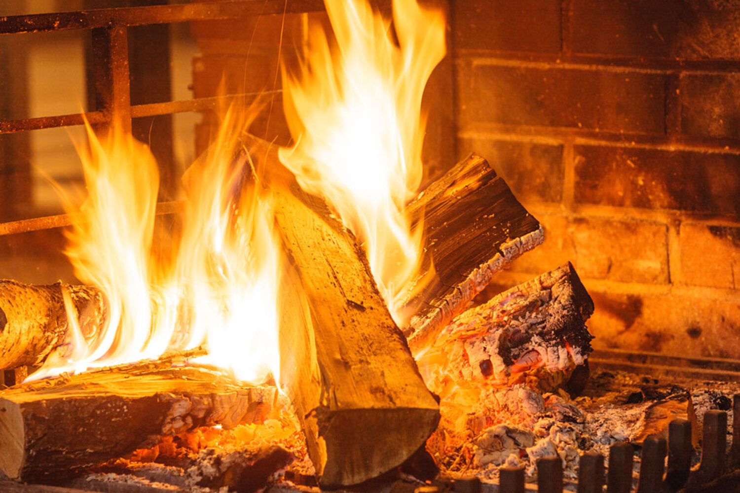 What Happens When You Burn Wet Wood? BarBeQuick